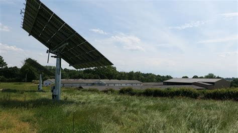 Pourquoi investir dans des trackers solaires en élevage.